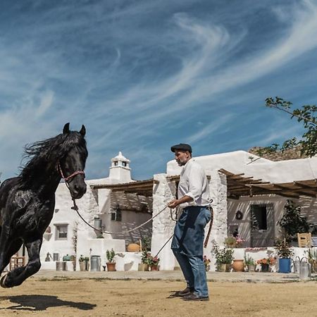 Rizes Mykonos - Folklore Farmstead Mykonos Town Екстериор снимка